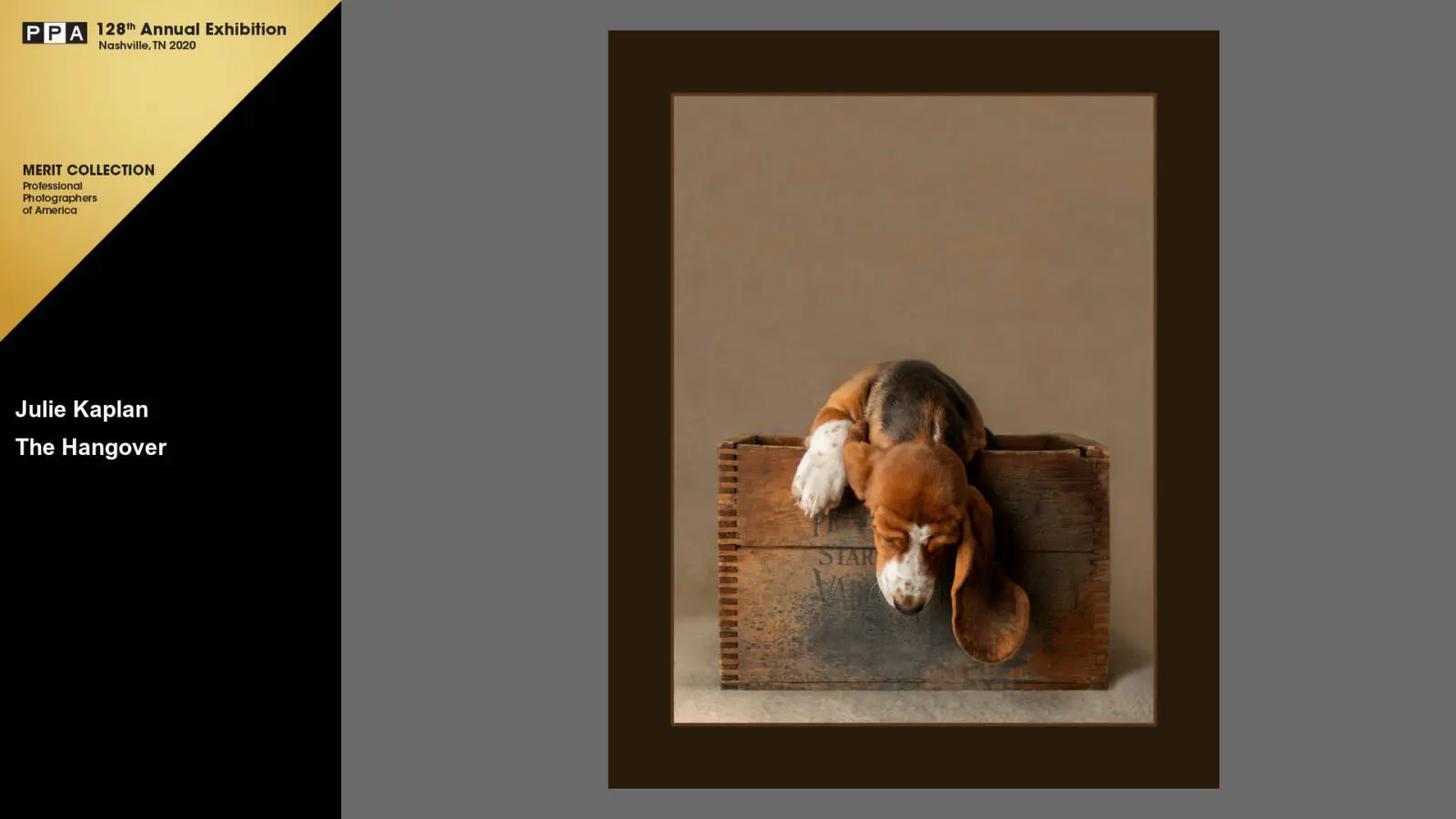 A dog laying on top of a wooden box.