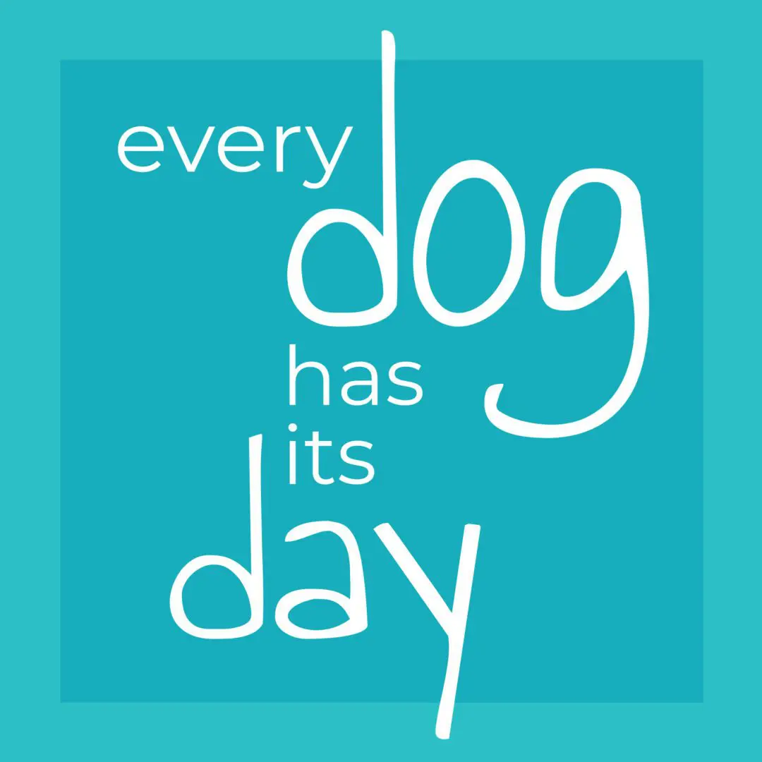 A blue square with the words " every dog has its day ".