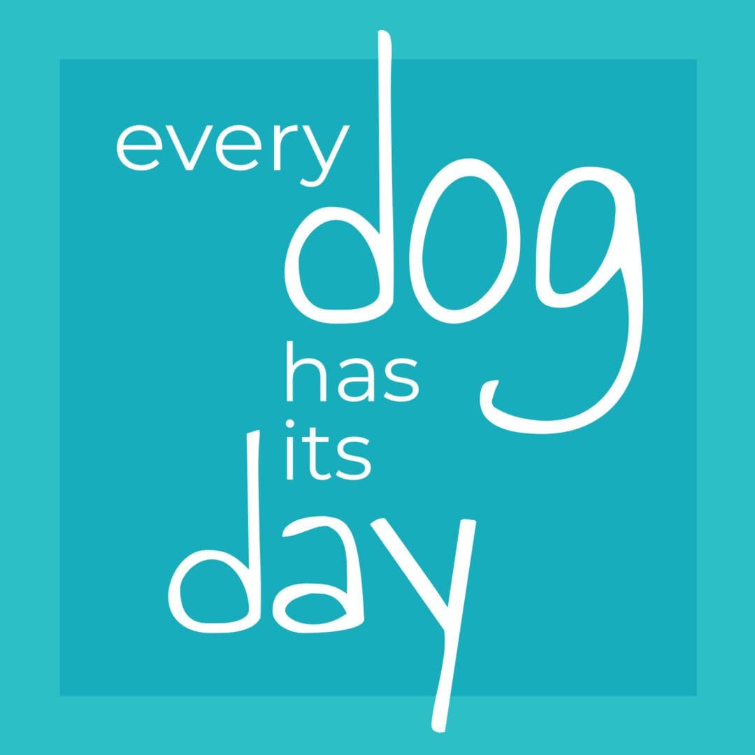 What does every dog has its hot sale day mean